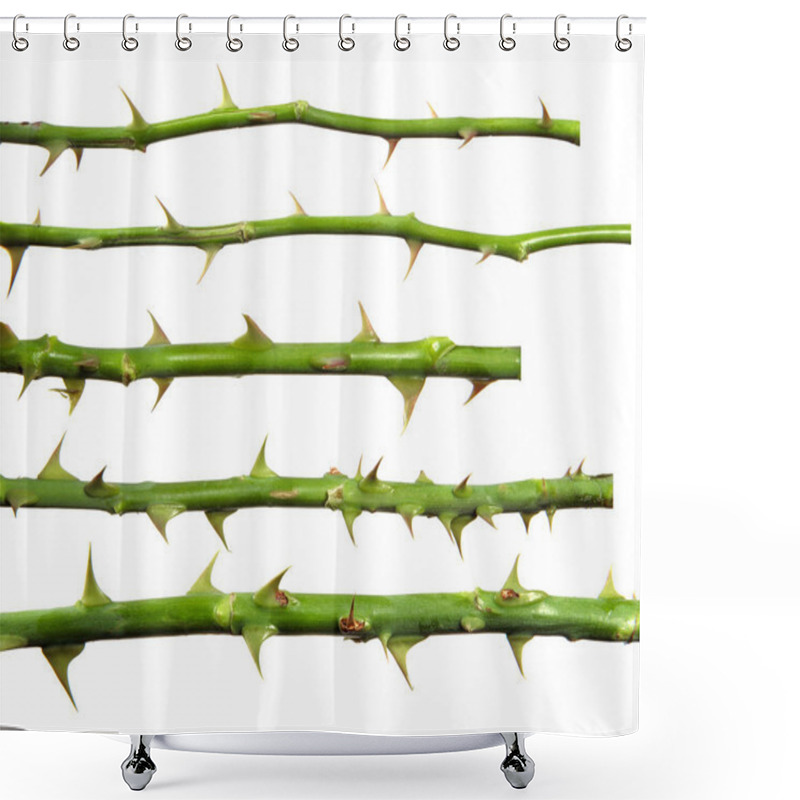 Personality  Stem Of Rose Bush With Thorns On An Isolated White Background, S Shower Curtains