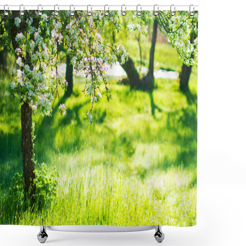 Personality  Springtime. Blossom Tree In Green Garden In Sunlight Shower Curtains