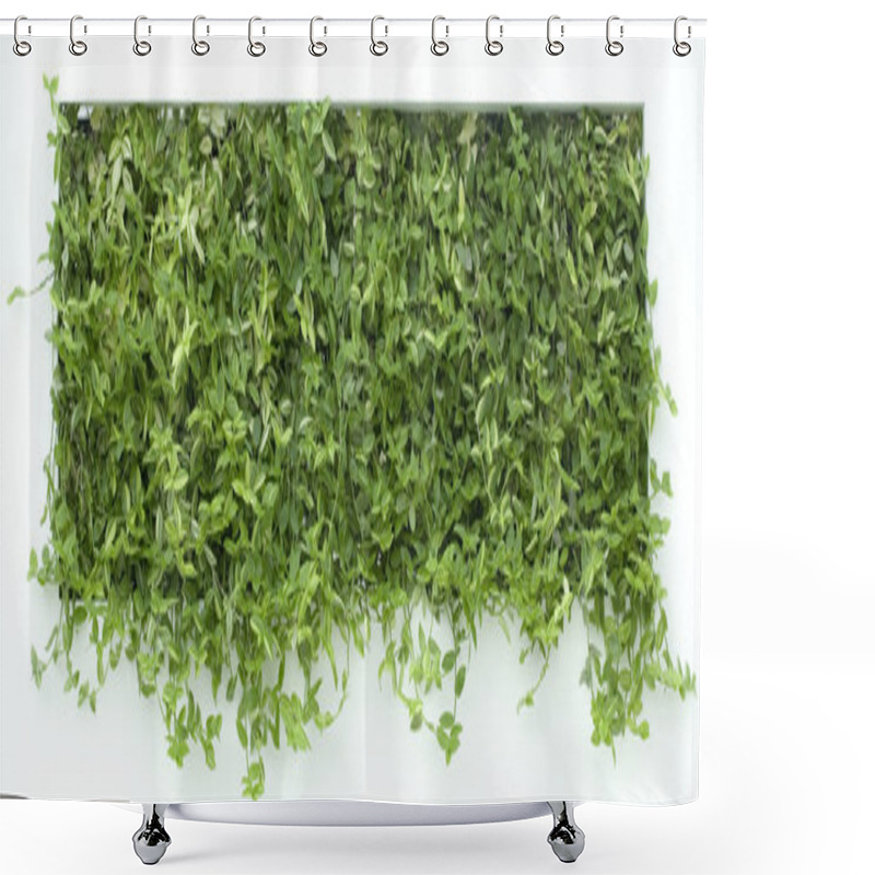 Personality  Vertical Garden Cutout Shower Curtains