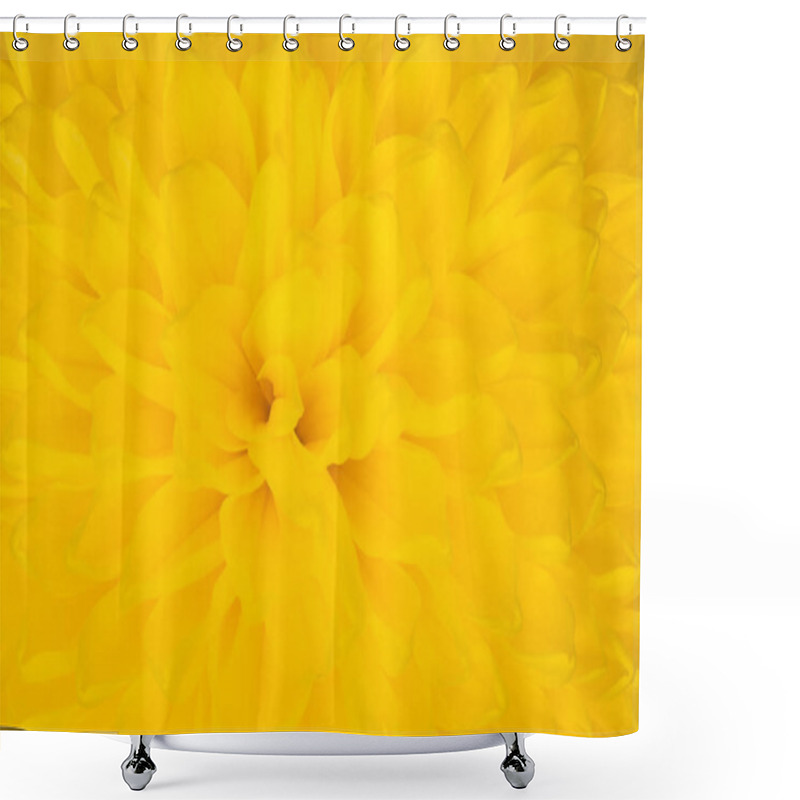 Personality  Close Up Of Yellow Aster Flower : Aster With Yellow Petals And Yellow Heart For Background Or Texture Shower Curtains