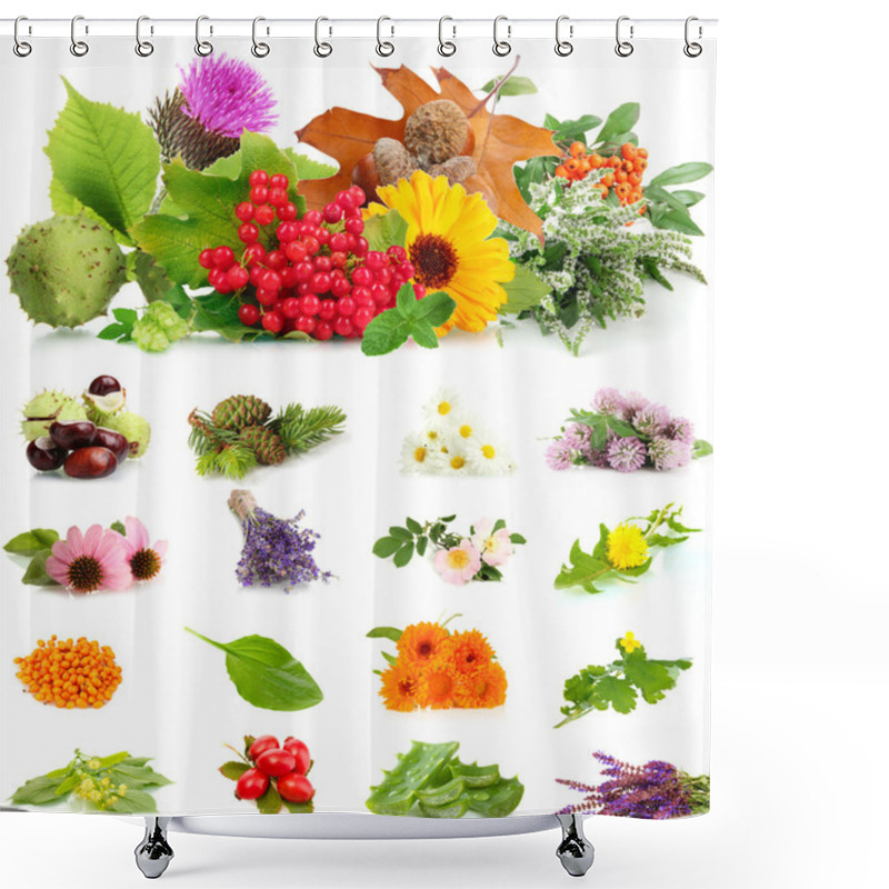 Personality  Collage Of Herbs And Plants Isolated On White Shower Curtains