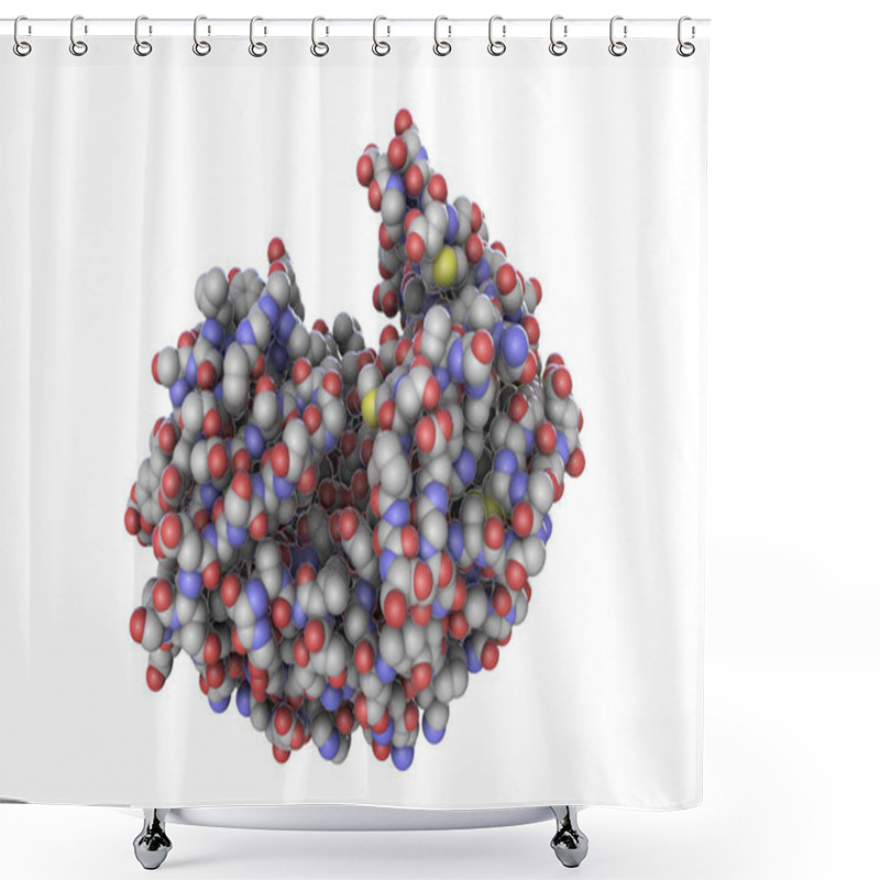 Personality  Molecule Of Pepsin Stomach Enzyme, 3D Illustration Shower Curtains