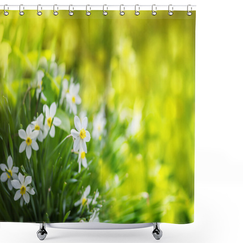 Personality  White Narcissus Flowers, Summer Background. Shower Curtains