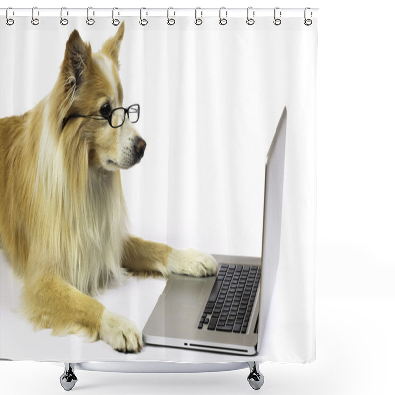 Personality  Dog Working On A Laptop Shower Curtains