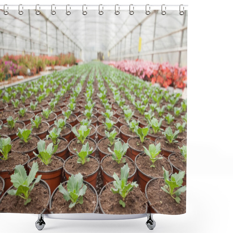 Personality  Plants In Horticulture Shower Curtains