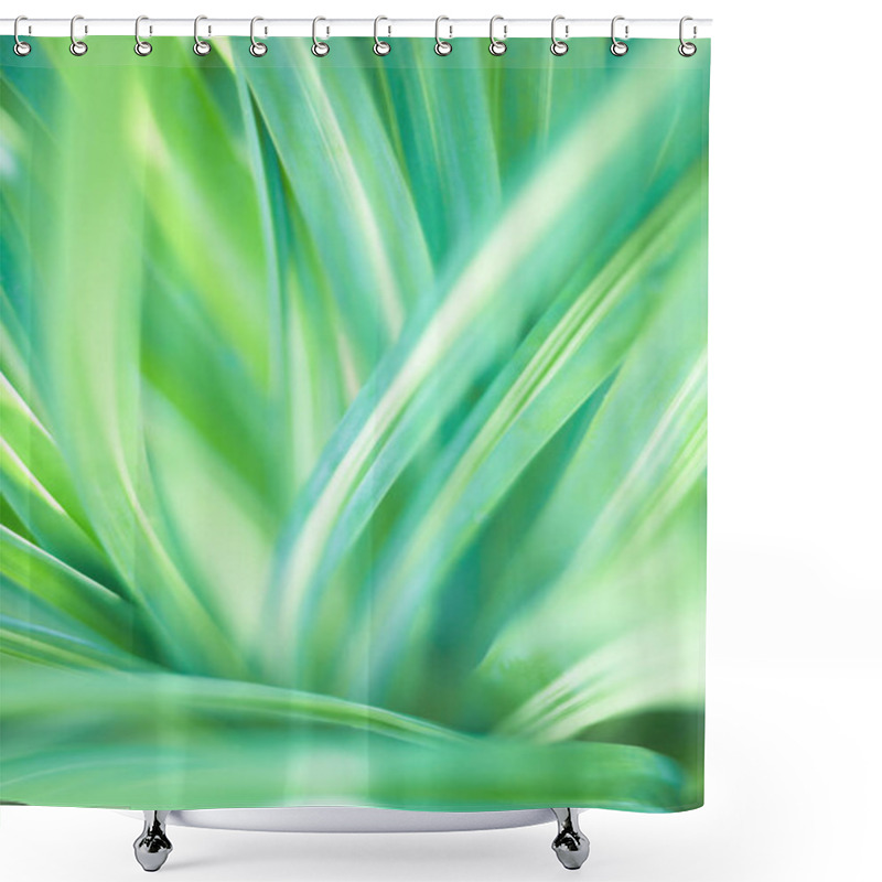 Personality  Closeup Of Green Leaf In Garden. Shower Curtains