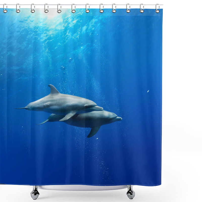 Personality  Two Dolphins Swimming Underwater Shower Curtains