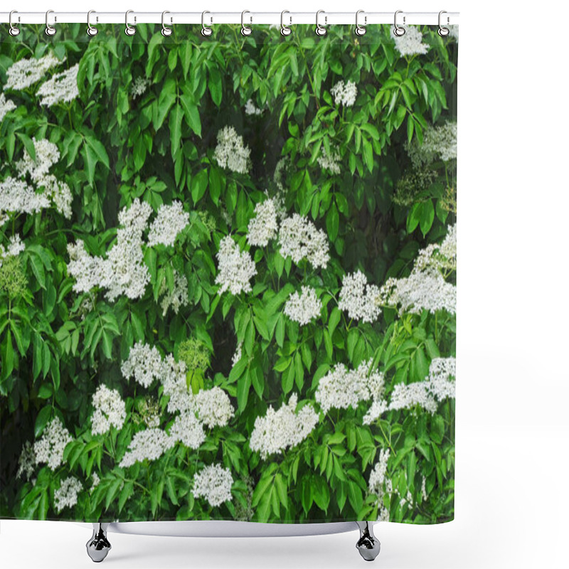 Personality  White Elderberry Blossom Shower Curtains