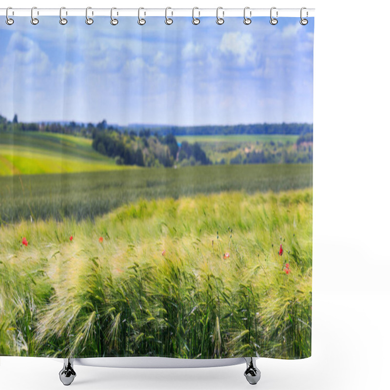 Personality  Green Fields Of Wheat, Rye, Soy And Corn. Blue Sky With Cumulus Clouds. Magic Summertime Landscape. Concept Theme: Agriculture. Nature. Climate. Ecology. Food Production. Shower Curtains