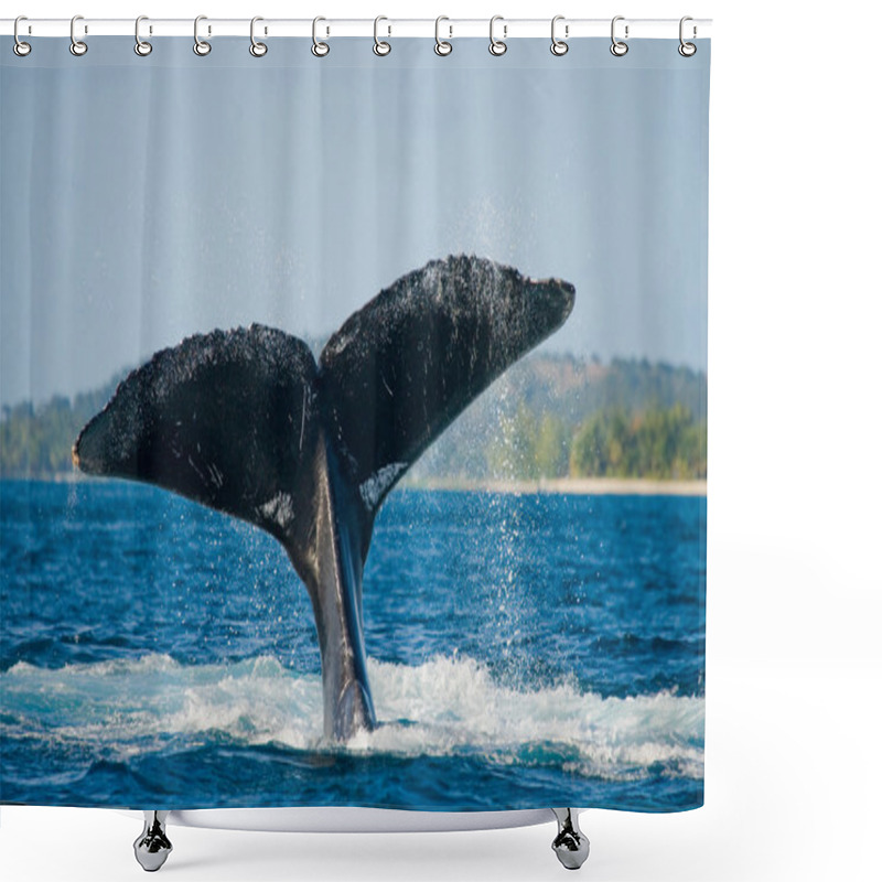 Personality  Whale Jumping In The Air Shower Curtains