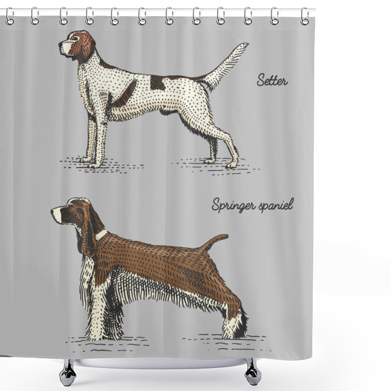 Personality  Dog Breed Engraved, Hand Drawn Vector Illustration In Woodcut Scratchboard Style, Vintage Species. Shower Curtains