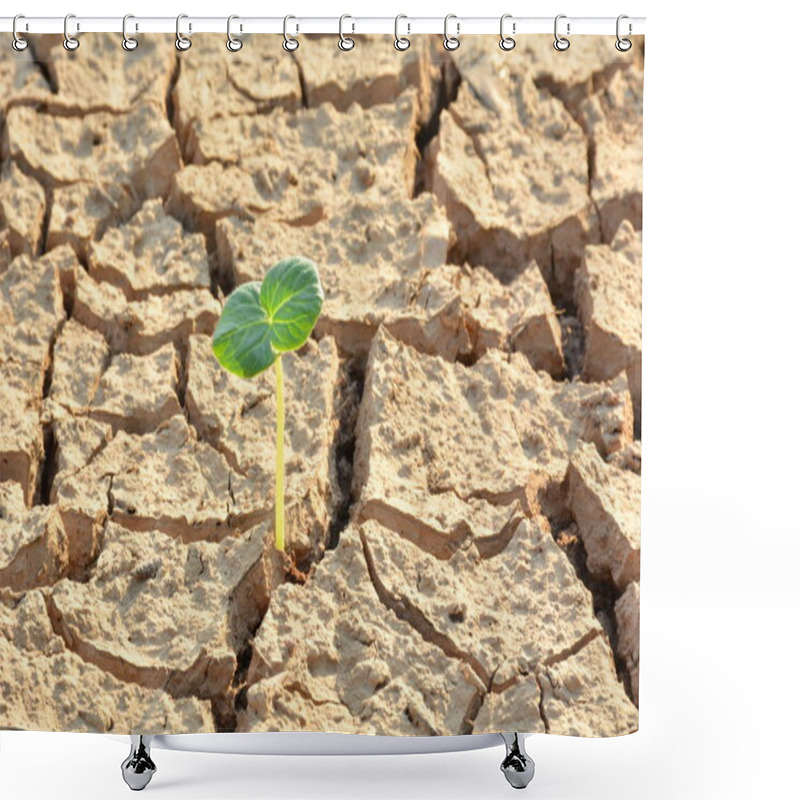 Personality  Desolate Land Or Dry Areas Have Little Green Plant Growth Up, Ne Shower Curtains