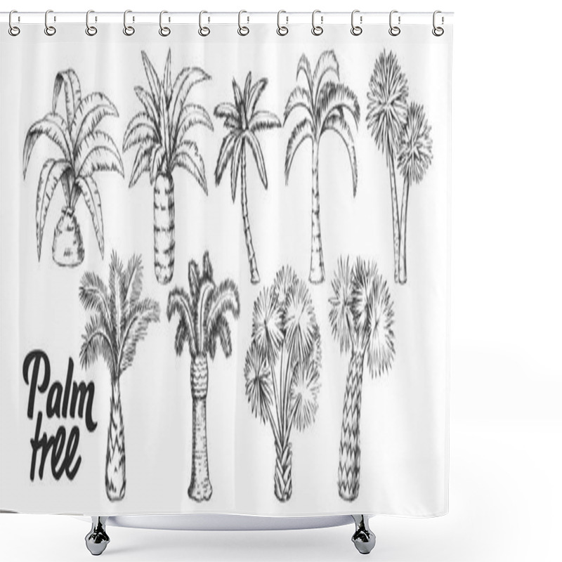 Personality  Palm High And Small Trunk Trees Set Ink Vector Shower Curtains