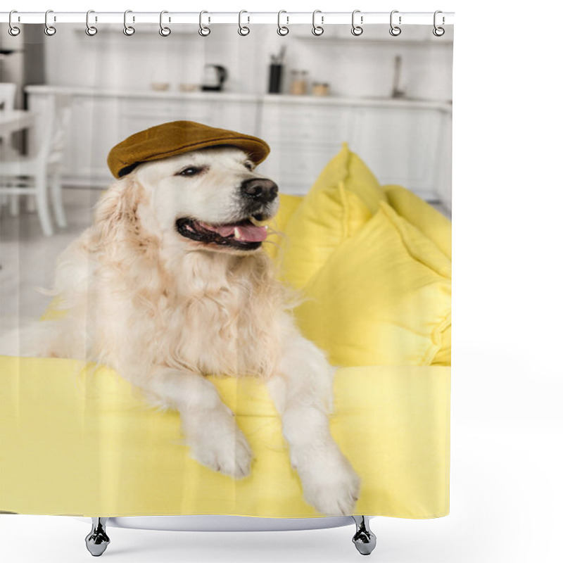 Personality   Cute Golden Retriever In Cap Lying On Yellow Sofa And Looking Away  Shower Curtains