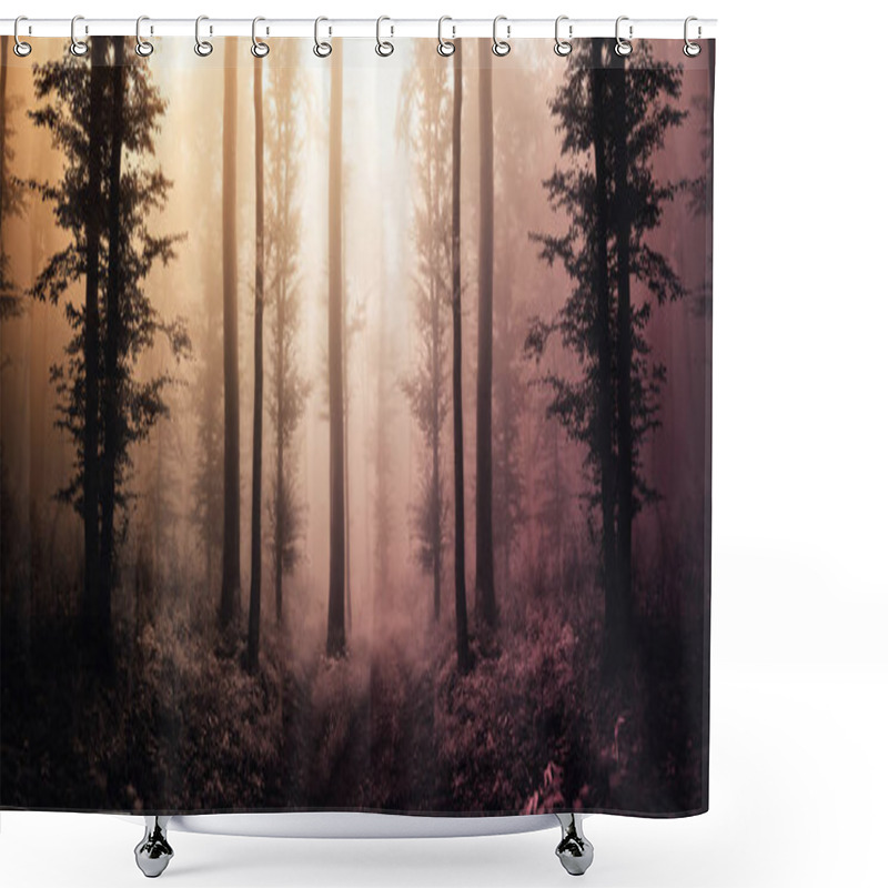 Personality  Tree Silhouettes In Magical Surreal Forest In Sunset Light Shower Curtains