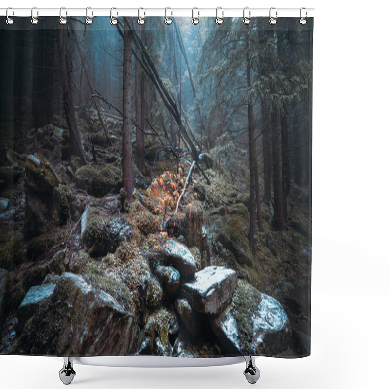 Personality  Autumn Day Into The Forest Shower Curtains