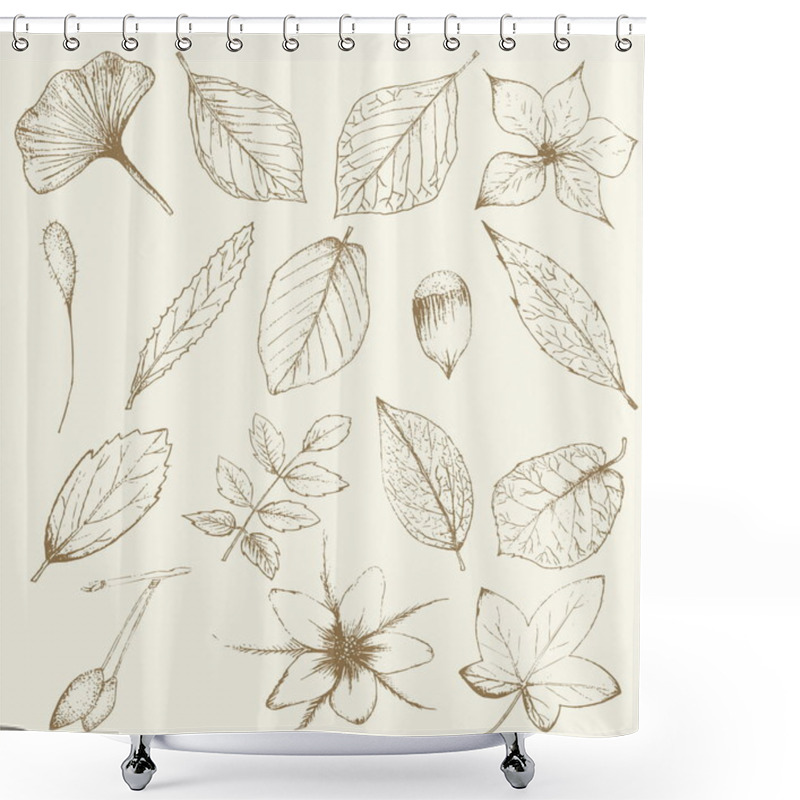 Personality  Collection Of Hand Drawn Plants, Leaves  Shower Curtains