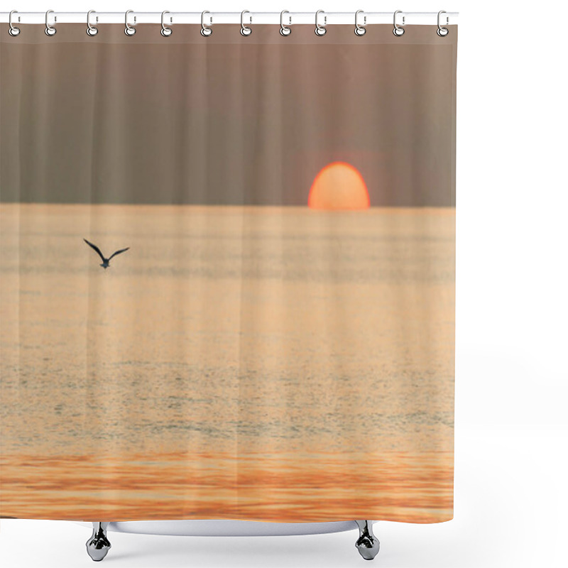 Personality  A Seagull Flying Towards The Sun In The Sea. Exploration, Journey Concepts. Shower Curtains