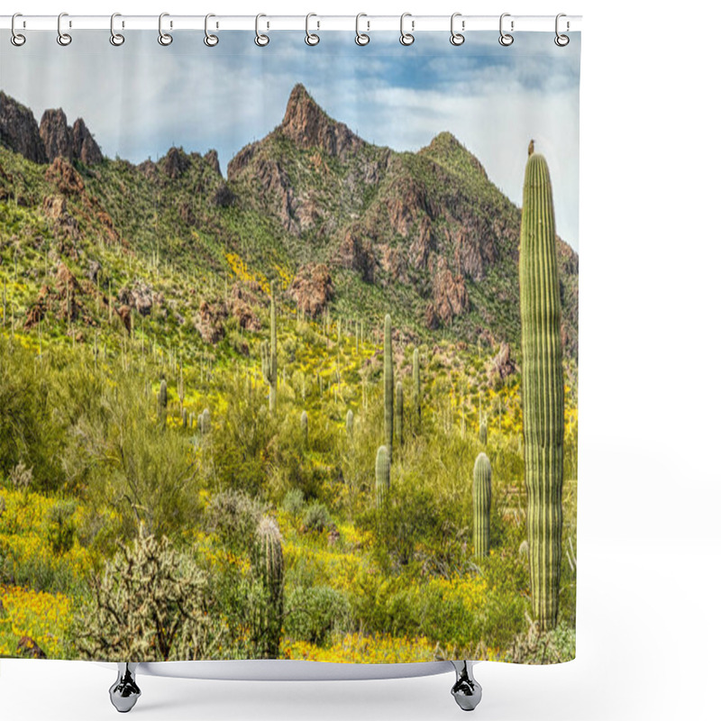 Personality  Spring Wildflowers At Picacho Peak State Park Near Phoenix, Arizona Shower Curtains