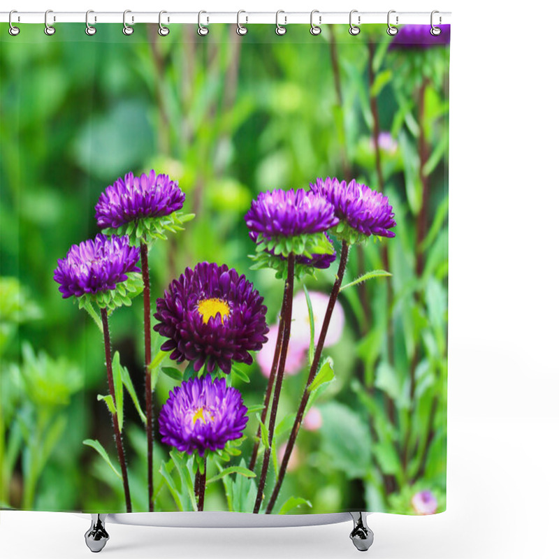 Personality  Purple Flower Garden Shower Curtains