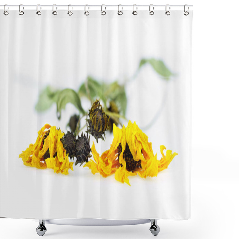 Personality  Dried Arnica Herbs Shower Curtains