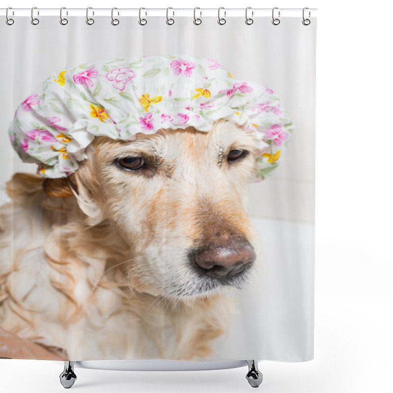 Personality  Bathroom To A Dog Shower Curtains