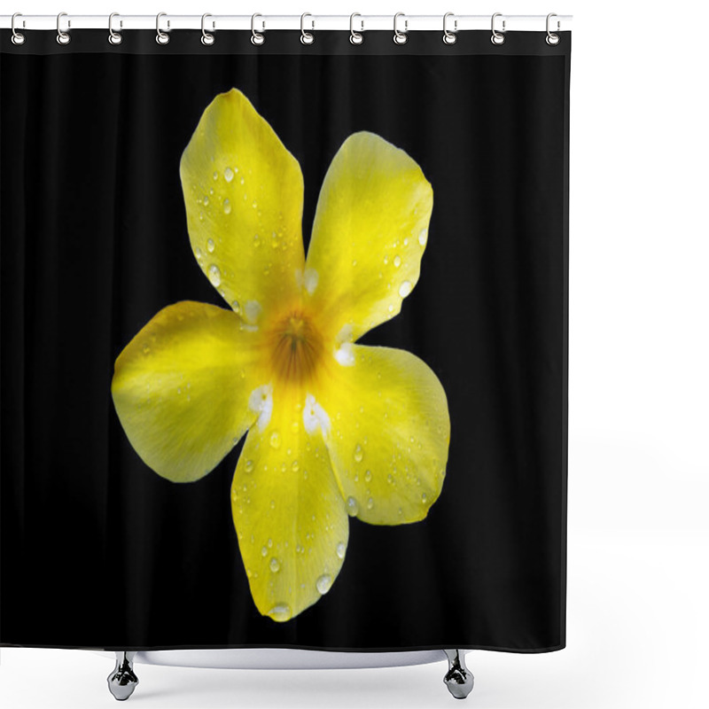 Personality  Golden Trumpet Flower Shower Curtains