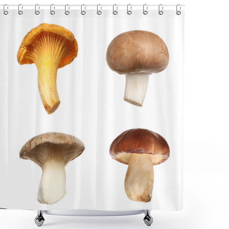 Personality  Set Of Different Fresh Mushrooms On White Background Shower Curtains