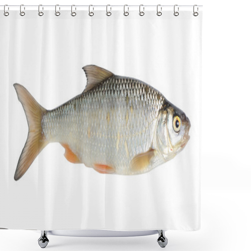 Personality  Fish Shower Curtains