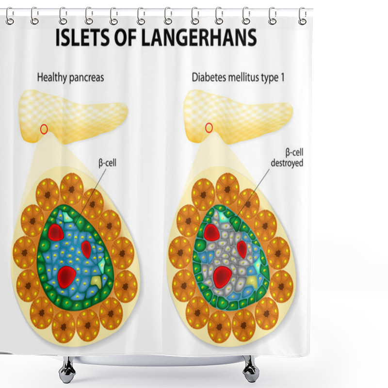 Personality  Islets Of Langerhans Shower Curtains