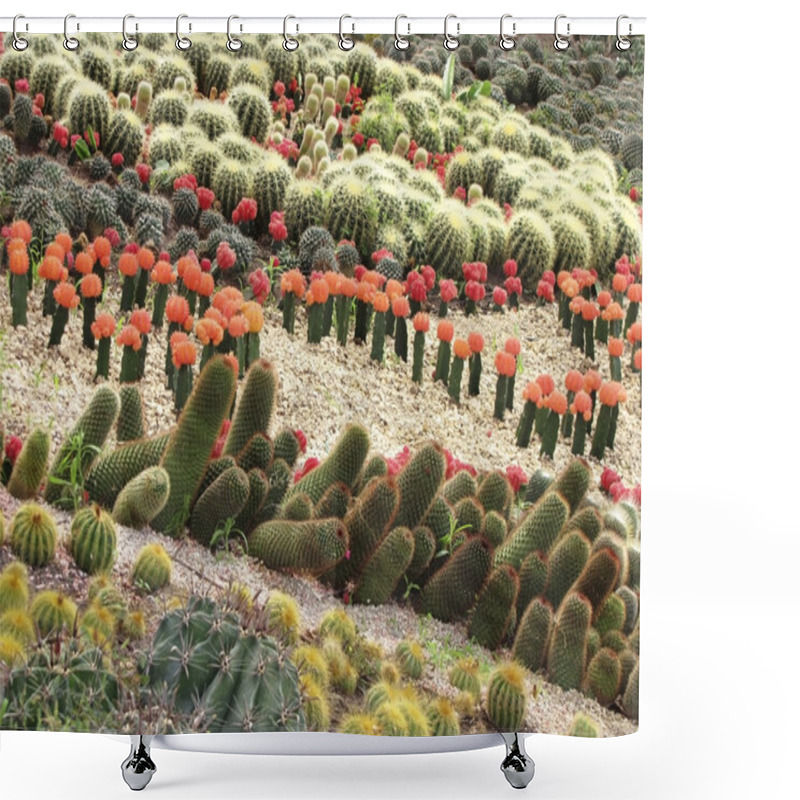 Personality  Different Cactuses In Open Space Shower Curtains