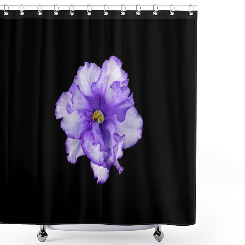 Personality  Uzambara Violet, Hybrid, Half-Double, White-Violet Flower, Close-Up, Macro Photography, Isolated On Black Background Shower Curtains