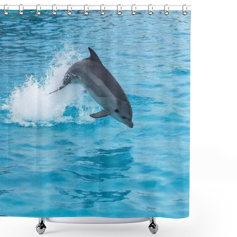 Personality  Dolphin Swimming In The Sea Shower Curtains