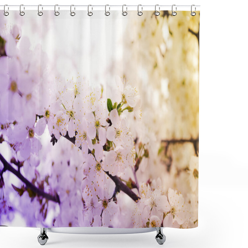 Personality  Cherry Blossoms Over Blurred Nature Background Shower Curtains