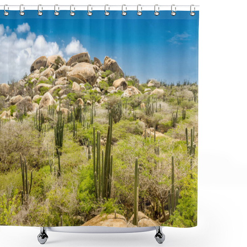 Personality  Ayo Rock Formation Shower Curtains