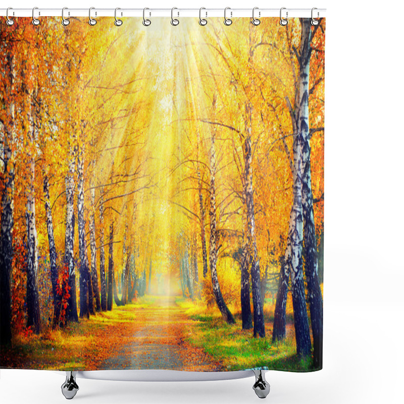 Personality  Autumn Trees  In Sun Rays Shower Curtains