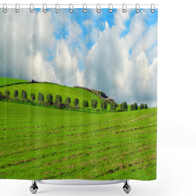 Personality  Trees Row In A Green Field  Shower Curtains