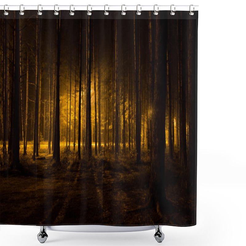 Personality  Dark Forest Shower Curtains