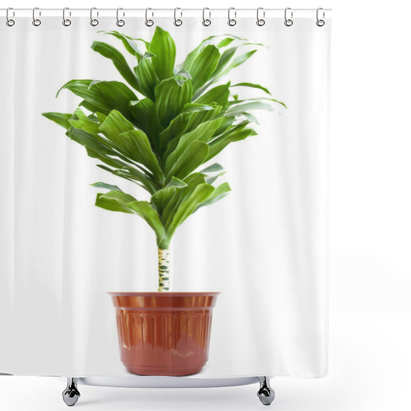 Personality  Plant Shower Curtains