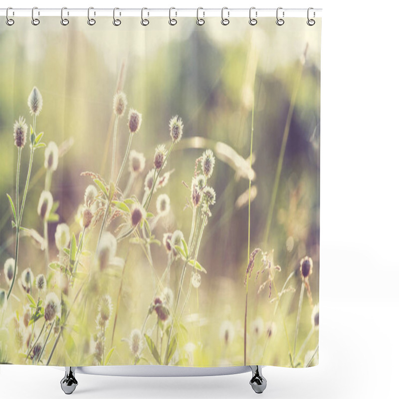 Personality  Sunny Day On The Flowers Meadow. Beautiful Natural Background. Shower Curtains