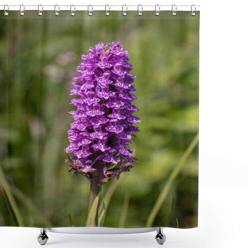 Personality  The Marsh Orchid A Flower With Red Purple Flowers From The Orchid Family, Photo Taken In Northern Scotland Shower Curtains