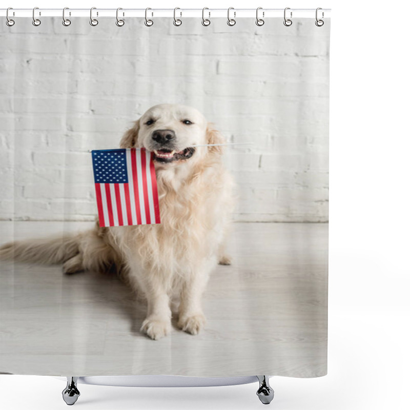 Personality  Cute Golden Retriever Sitting On Floor And Holding American Flag   Shower Curtains