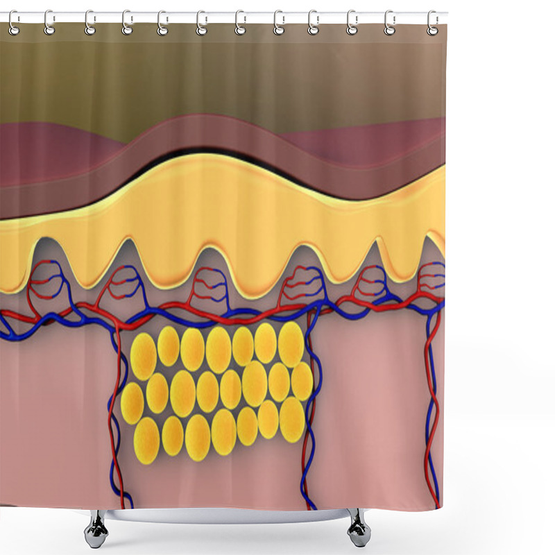 Personality  Fat Cells Shower Curtains