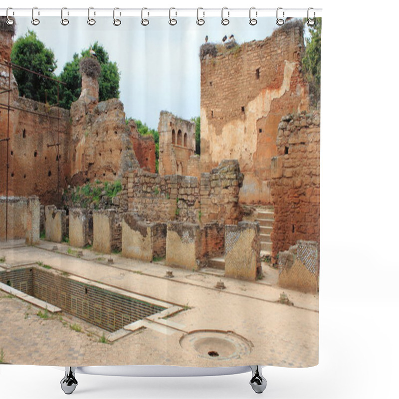 Personality  Ancient Ruins In Necropolis Of Cellah Shower Curtains