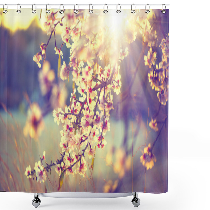 Personality  Blooming Tree And Sun Flare Shower Curtains