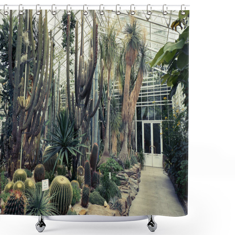 Personality  Tropical Path With Green Tropical Plants, Palms And Catuses At Famous Botanical Garden In Munich Shower Curtains