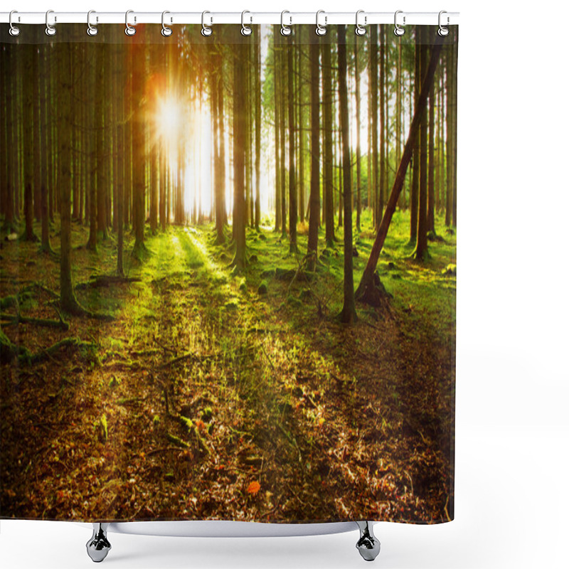 Personality  Sunset In The Autumn Forest. Shower Curtains