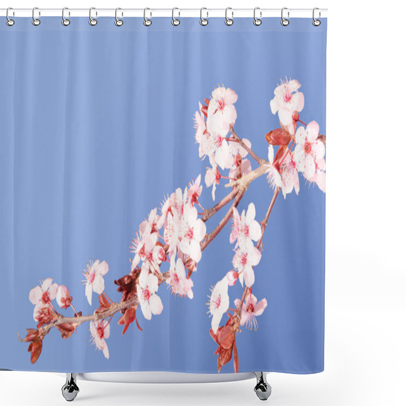 Personality  Sakura Pink Japanese Cherry Blossom Branch Shower Curtains