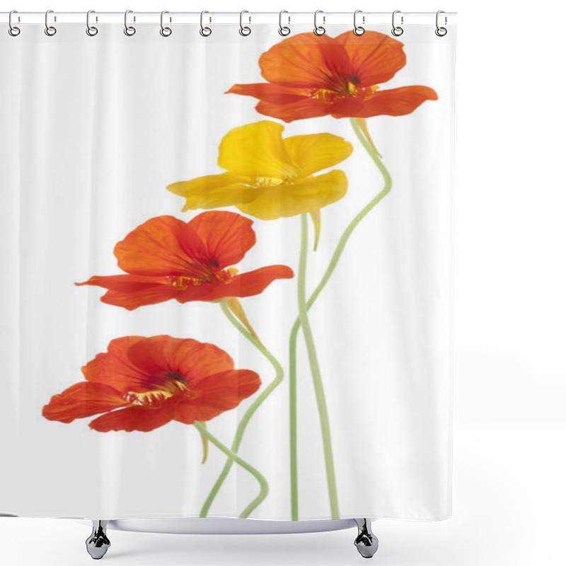 Personality  Nasturtium Shower Curtains