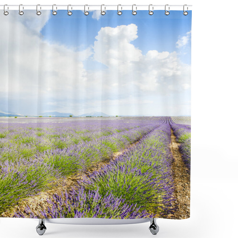 Personality  Lavender Field Shower Curtains